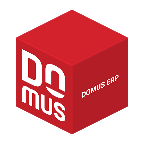 DOMUS ERP Cube
